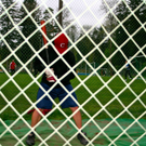 BK_cardinals 5_jpg-1273172490