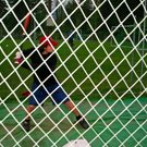 BK_cardinals 6_jpg-1273172496
