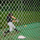 BK_cardinals 11_jpg-1273172522