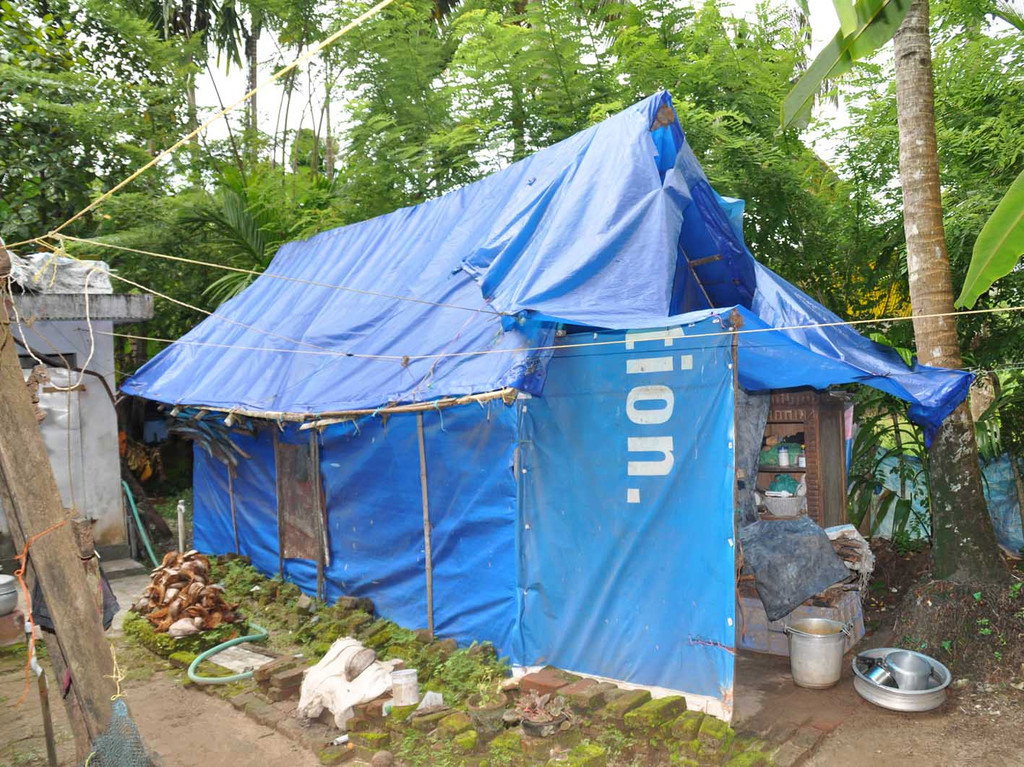 Dach10c.jpg