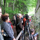 KOE_Wildpark-Patenfeier 9_jpg-1273178907