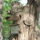 KOE_Wildpark-Patenfeier 38_jpg-1273179431