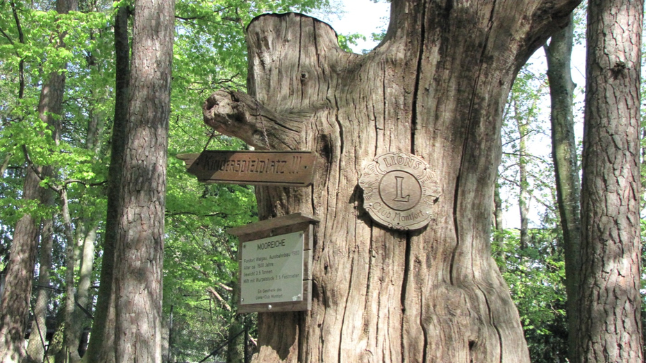 KOE_Wildpark-Patenfeier 38_jpg-1273179431