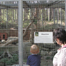 KOE_Wildpark-Patenfeier 41_jpg-1273179461