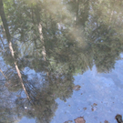 KOE_Wildpark-Patenfeier 45_jpg-1273179508