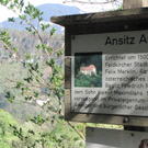 KOE_Wildpark-Patenfeier 47_jpg-1273179558