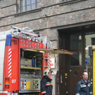 DSC_7955.JPG