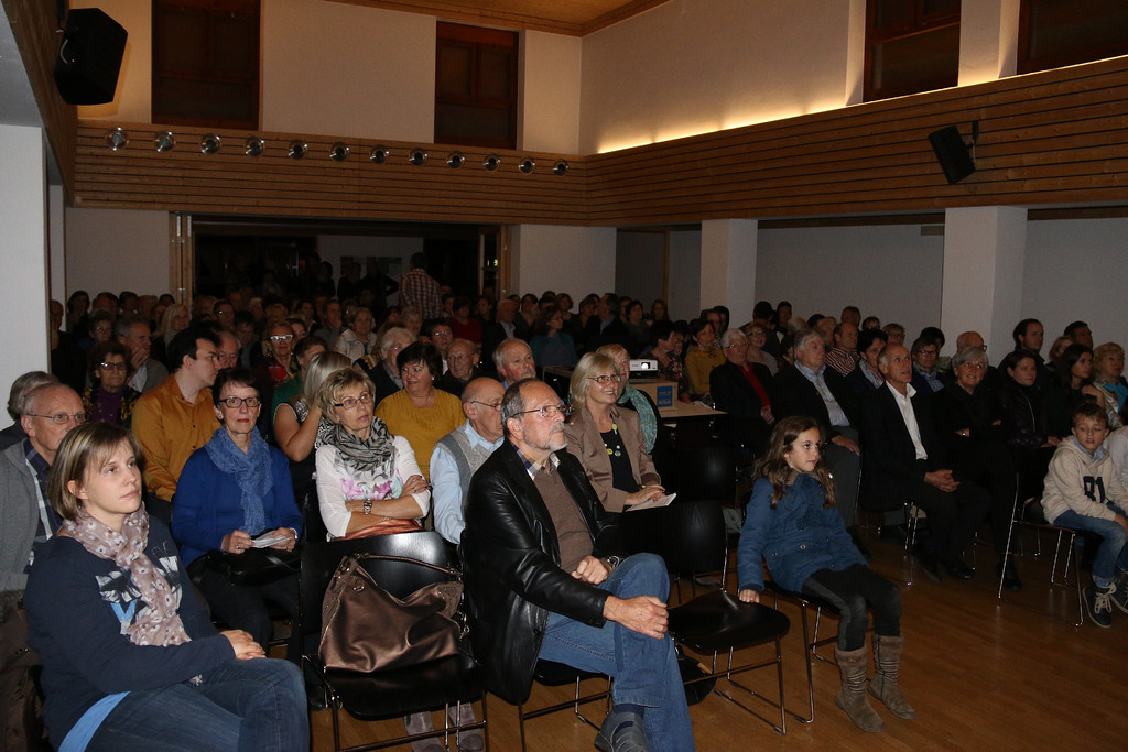 Dach __berm Kopf 2014  _7_.JPG