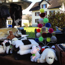 BK_Frastanzer Herbstmarkt 2014 23.JPG