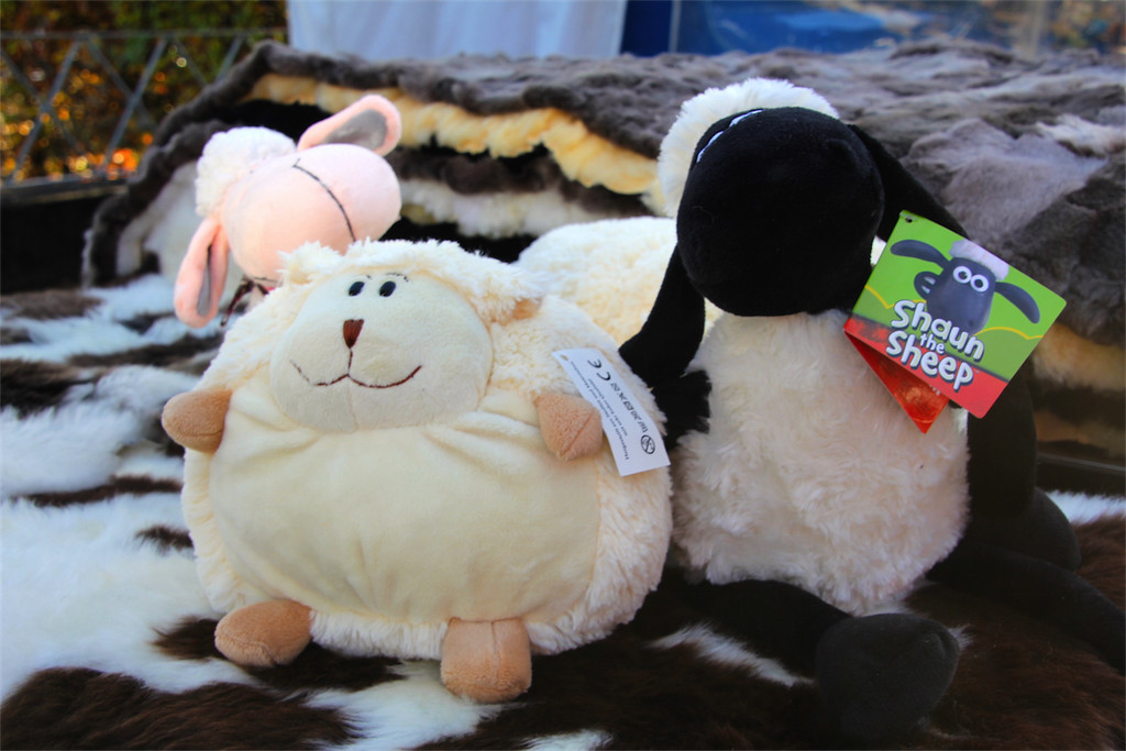 BK_Frastanzer Herbstmarkt 2014 29.JPG