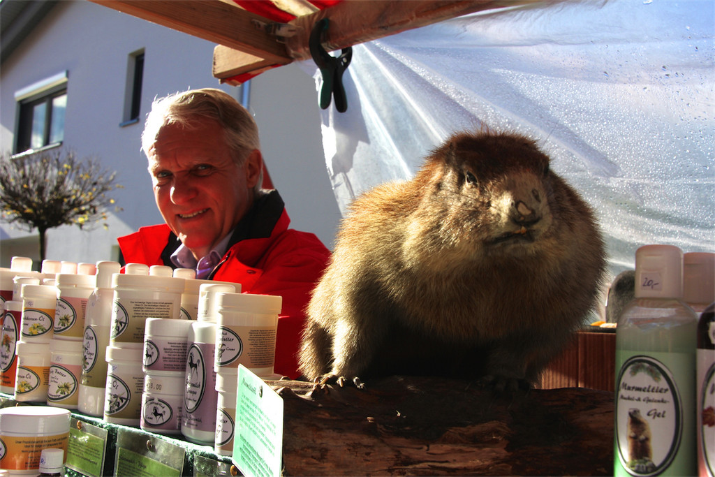 BK_Frastanzer Herbstmarkt 2014 34.JPG