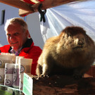 BK_Frastanzer Herbstmarkt 2014 34.JPG