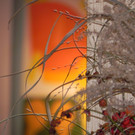 DSCN0786.JPG