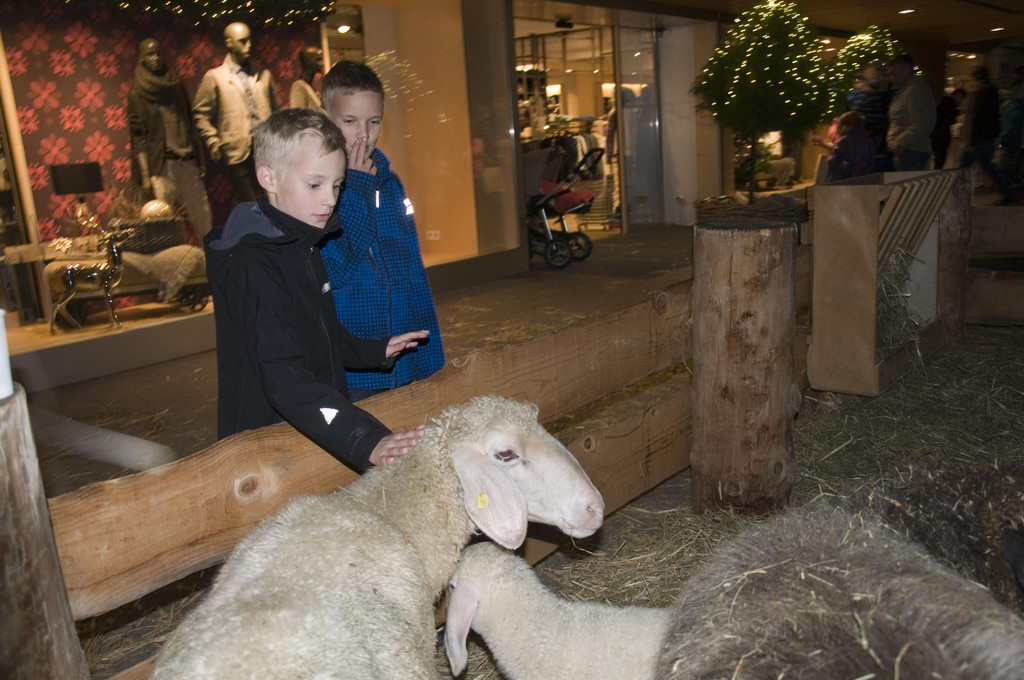 adventausstellung egg.jpg