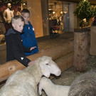 adventausstellung egg.jpg