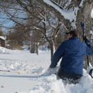 Schneechaos in den USA