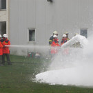 roethis20141119030121.jpg