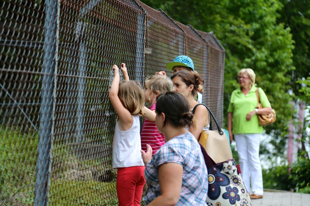 KOE_Wildpark Rueckblick 2014 2.jpg