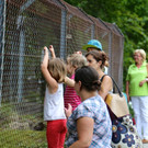 Impressionen Wildpark