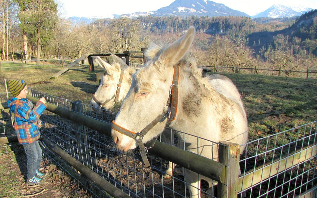 KOE_Wildpark Rueckblick 2014 7.jpg