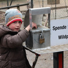 KOE_Wildpark Rueckblick 2014 11.jpg