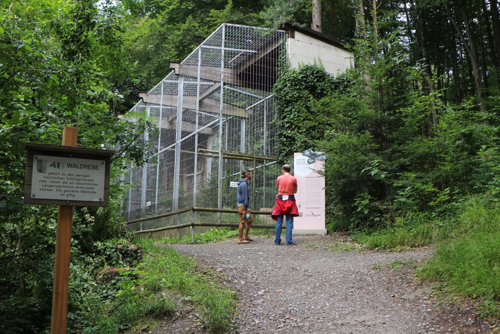 KOE_Wildpark Rueckblick 2014 12.jpg