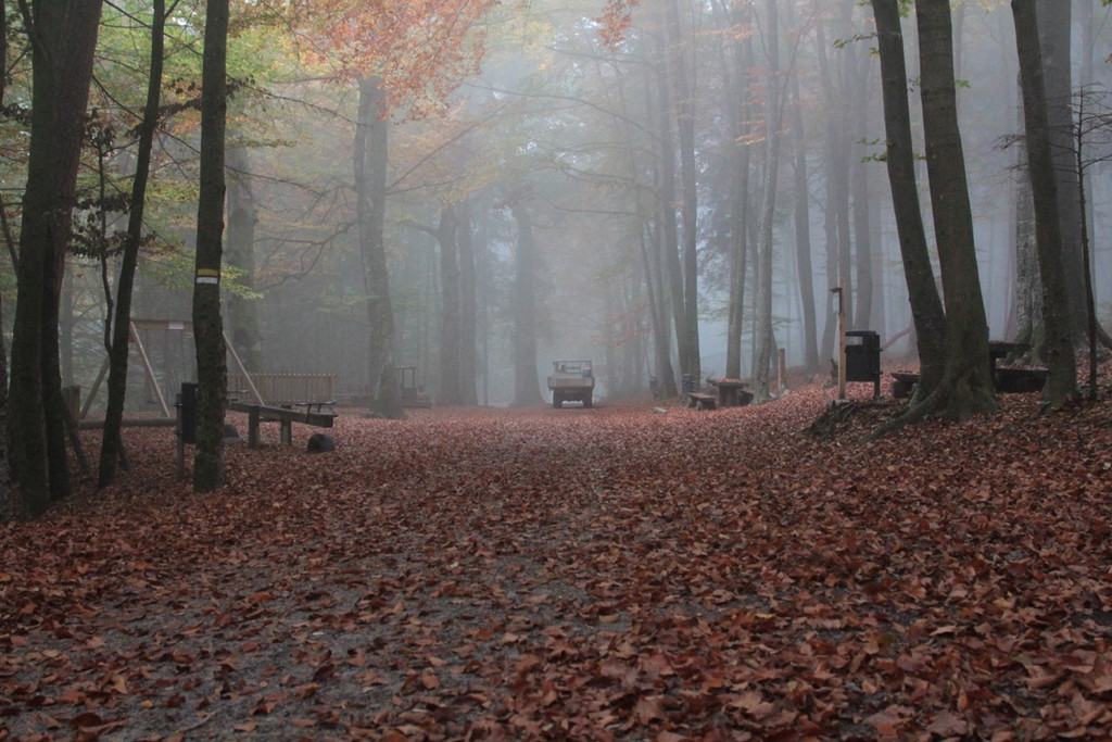 KOE_Wildpark Rueckblick 2014 15.jpg