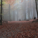 KOE_Wildpark Rueckblick 2014 15.jpg