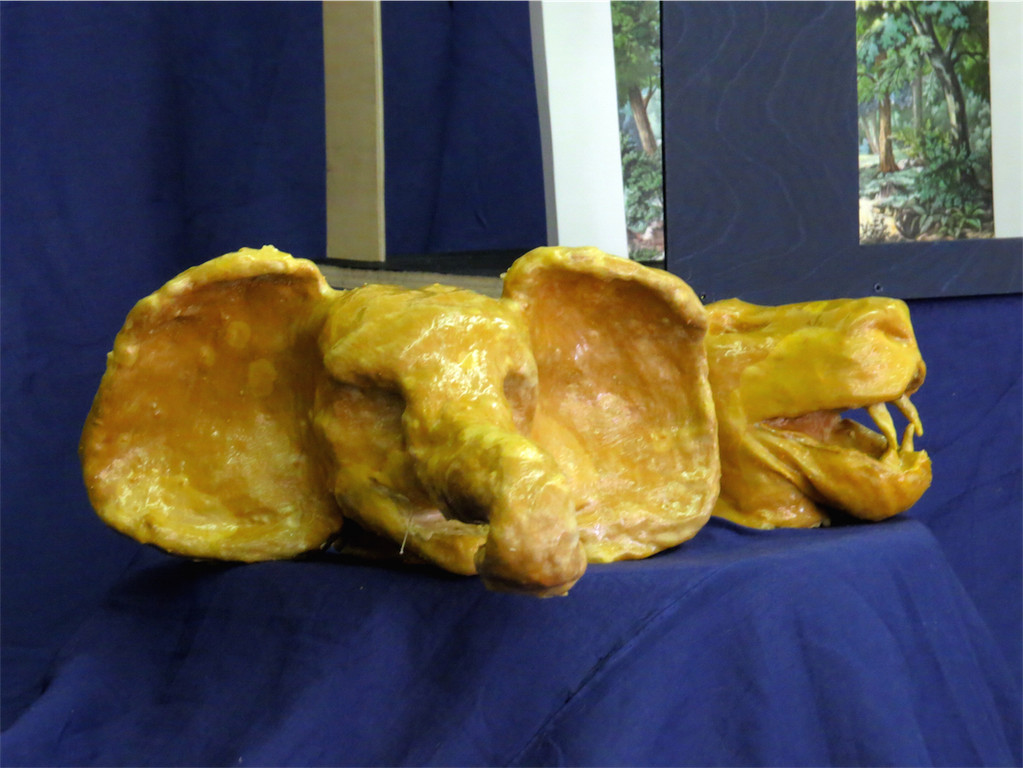 BK_BAKIP_Tag der offenen Tu__r 20.JPG