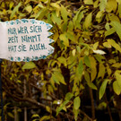 Zeit hatten alle genug_.JPG