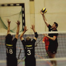 IMG_0421kl _2_.jpg