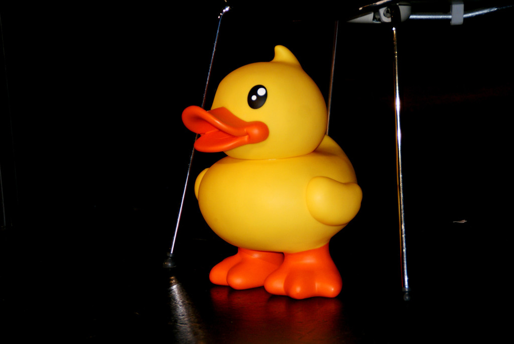 Die Ente als Symbol f__r Netz f__r Kinder.JPG