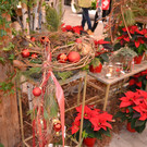 DSC_0007.JPG