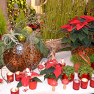 DSC_0006.JPG