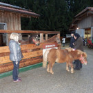PB190027.jpg