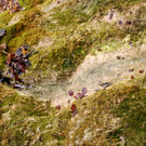 63.JPG