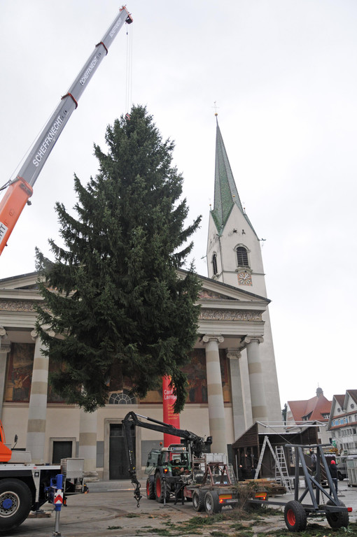 Dornbirner Christbaum _c_ DTSM _1_.JPG