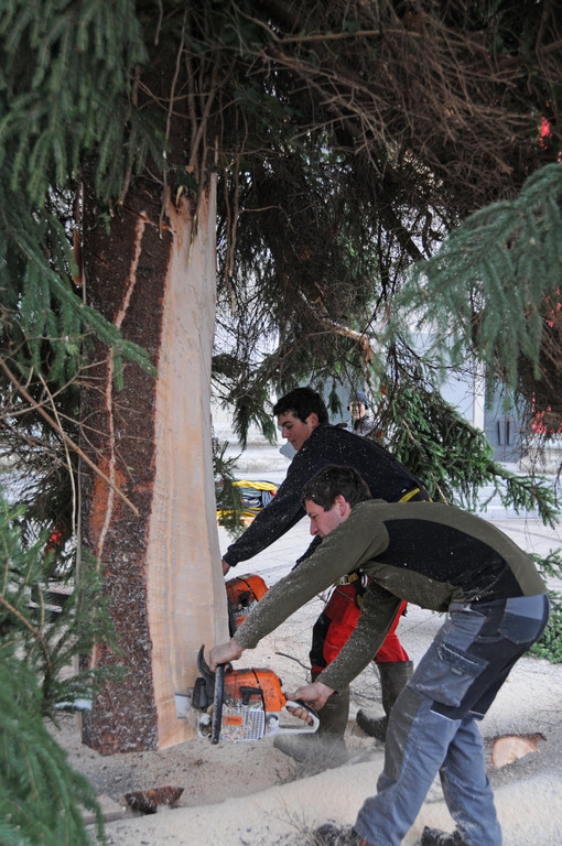 Dornbirner Christbaum _c_ DTSM _2_.jpg