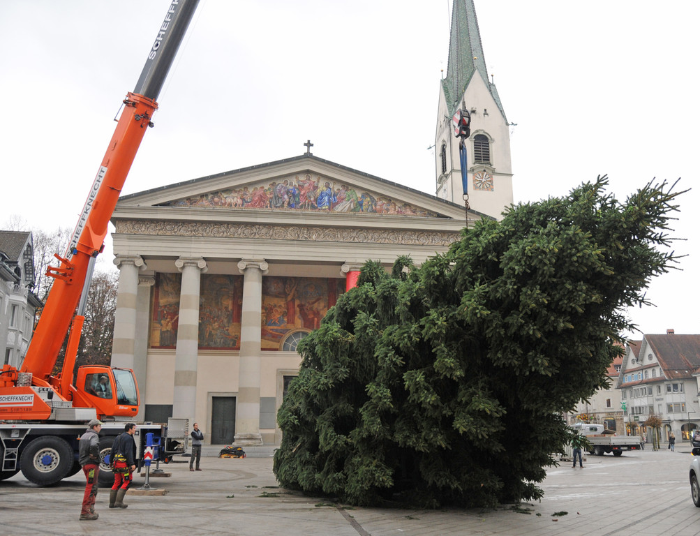 Dornbirner Christbaum _c_ DTSM _3_.JPG