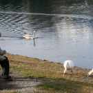 k-IMG_3632.jpg