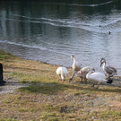 k-IMG_3647.JPG