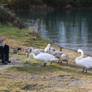k-IMG_3663.JPG