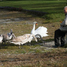 k-IMG_3685.JPG