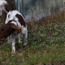 k-IMG_4605.JPG