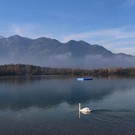 k-IMG_7506_panorama.jpg