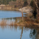 k-IMG_7614.JPG