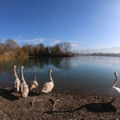 k-IMG_7765.JPG