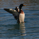 k-IMG_7787.JPG