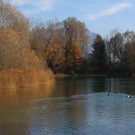 k-IMG_7812.JPG