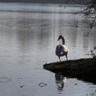 k-IMG_7820.JPG